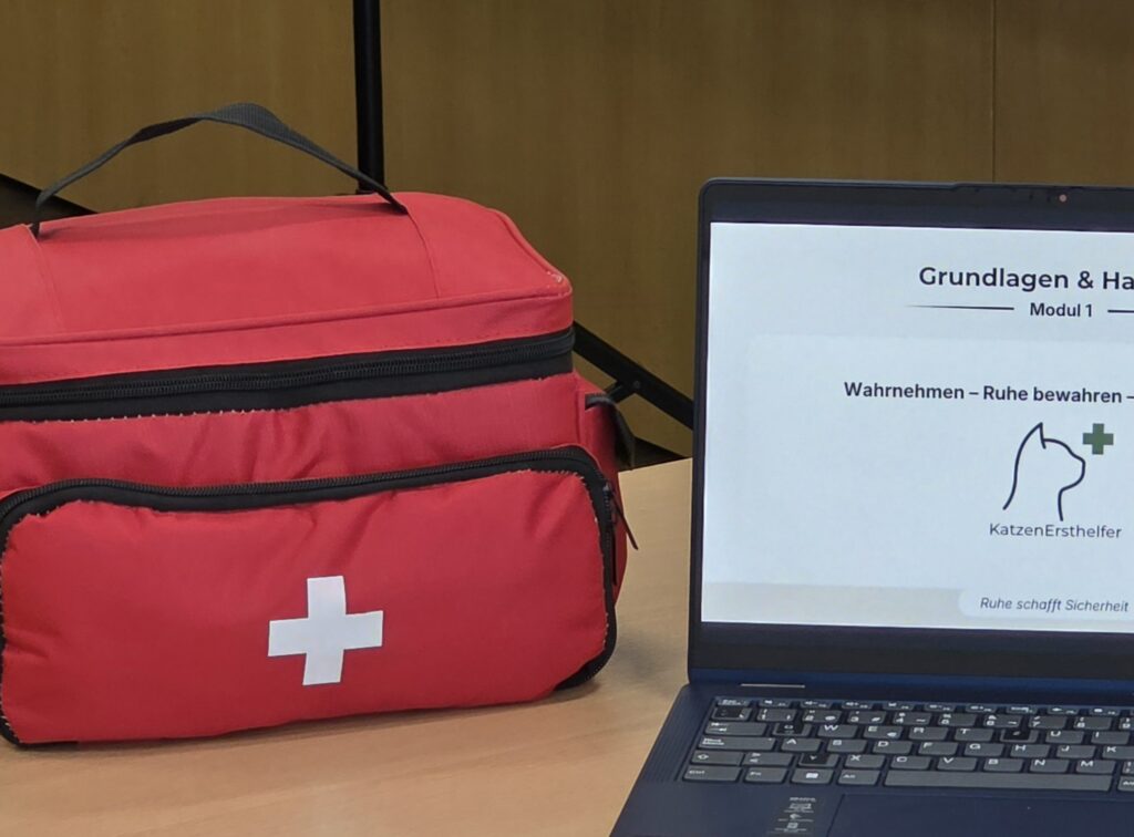 Erste-Hilfe-Tasche für Katzen neben Laptop mit Notfallkurs