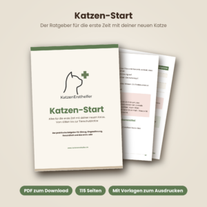 Katzen-Start: Der Ratgeber für die erste Zeit mit deiner neuen Katze