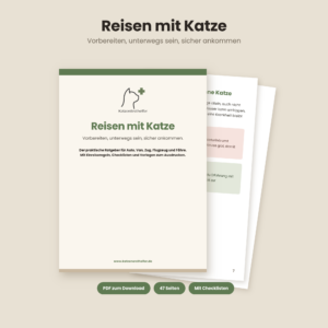 Reisen mit Katze: Vorbereiten, unterwegs sein, sicher ankommen