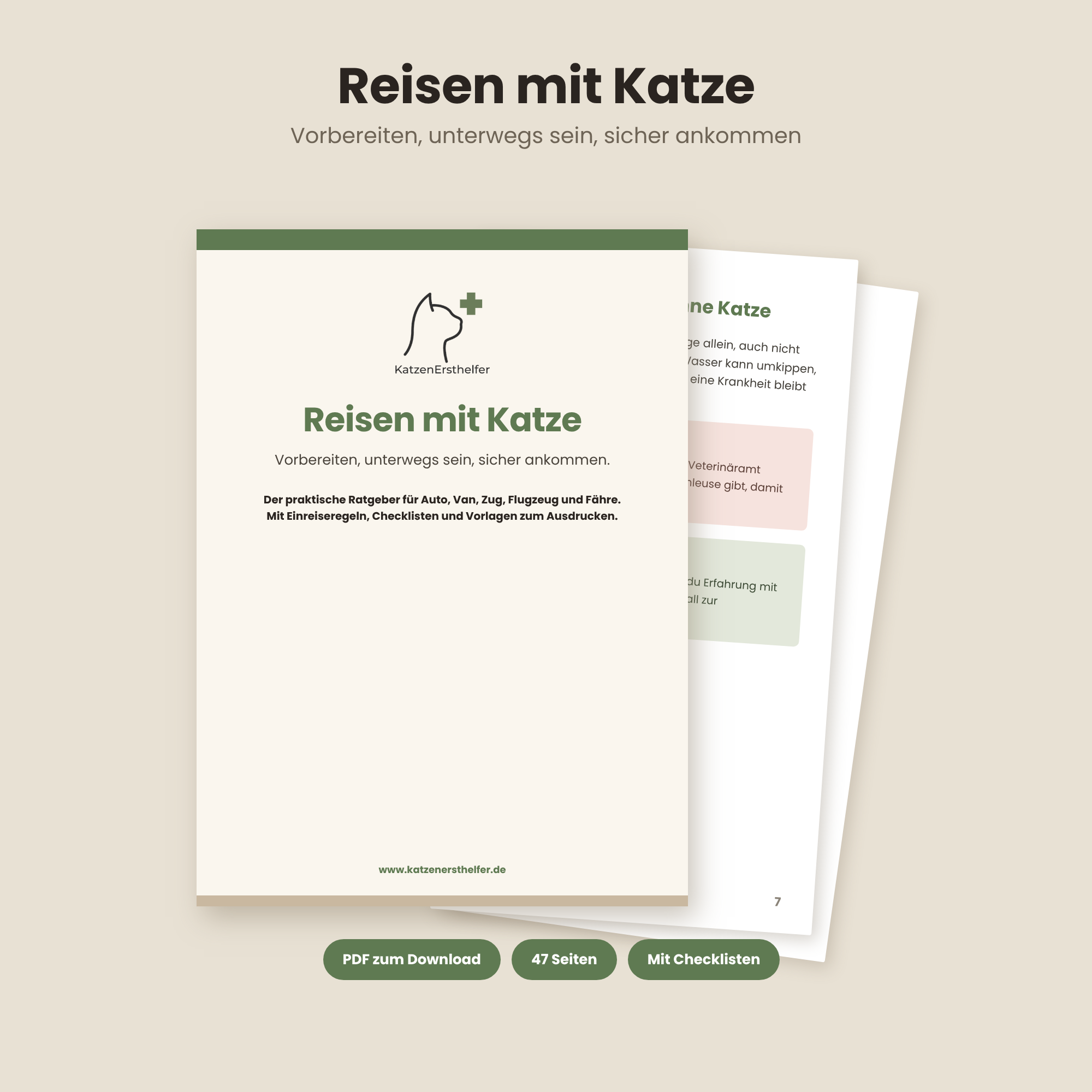 Reisen mit Katze: Vorbereiten, unterwegs sein, sicher ankommen